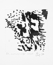 oszust(3) internet.JPG